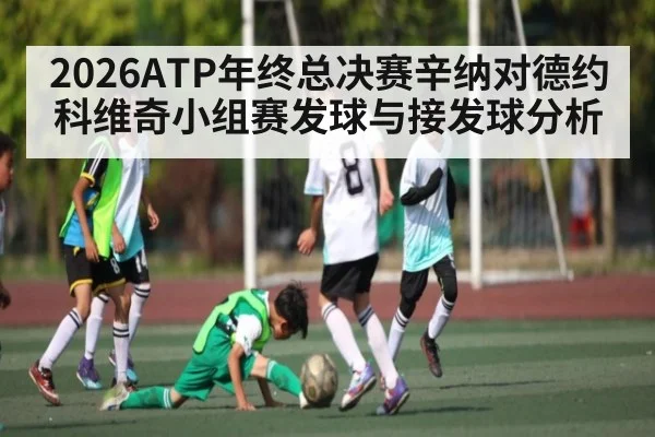2026ATP年终总决赛辛纳对德约科维奇小组赛发球与接发球分析